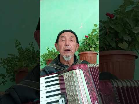 Видео: 24 октября 2025 г.