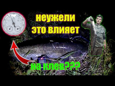 Видео: Тайна успешной ловли сома раскрыта? Теория и практика возле каряжника на малой реке.