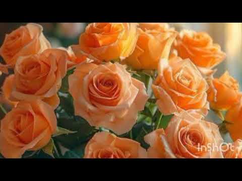 Видео: Я буду твоей ( кавер)