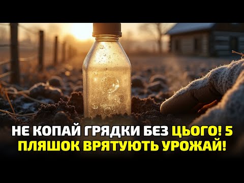 Видео: 5 пляшок між грядками — сільський секрет, який рятує землю від криги і втрати врожаю!