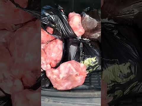 Видео: Каждый день я прошу Вас о помощи, и знаю, что  меня обязательно услышат🙏🏼