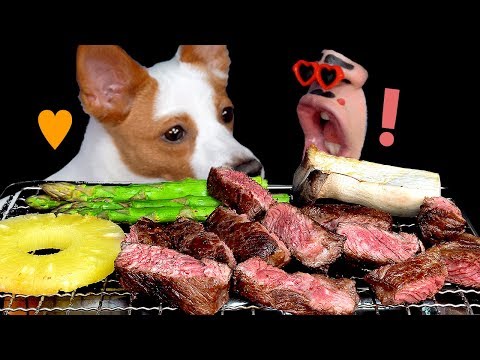 Видео: [ASMR] звучит как ели бифштекс с собакой.