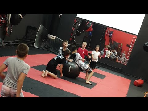 Видео: Супер игра 🏆 Рэгбол ⛩ Дом Боевого Спорта в прямом эфире! #shorts
