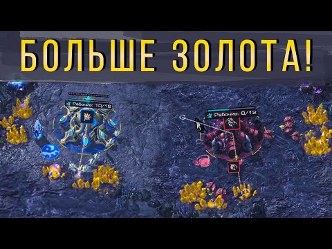 Видео: Базы на ЗОЛОТЕ на ПРО турнире HomeStoryCup 24 | ZERG в StarCraft 2