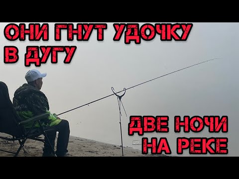 Видео: ОНИ ГНУТ УДОЧКУ в ДУГУ / ДВЕ ночи НА РЕКЕ
