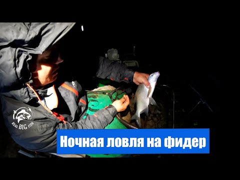 Видео: Ночная ловля на маныче. Ловим на фидер осенью.