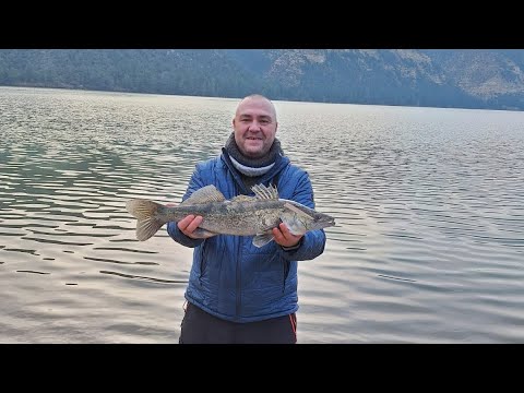 Видео: Первая рыбалка в новом году и такой судачок, на фидер,на кукурузу