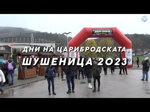 Видео: Дни на Царибродската шушеница 2023 - Intermezzo