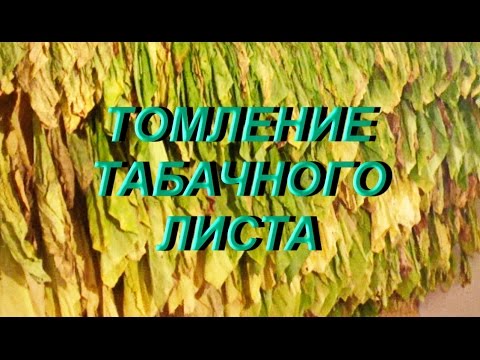 Видео: ДНЕВНИК ТАБАКОВОДА № 25 ( 7. 07. Томление табачного листа ) ТАБАК