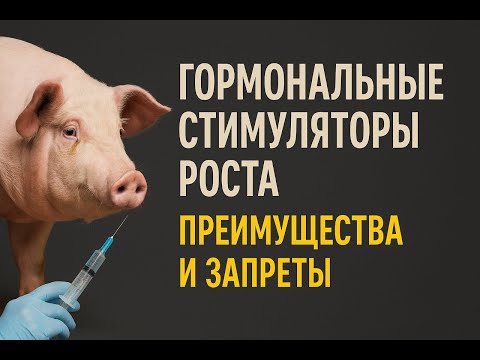 Видео: Гормональные стимуляторы роста при откорме свиней дают самые лучшие результаты, но уж очень много но