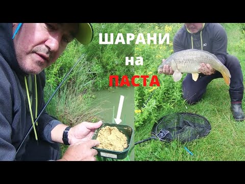 Видео: Риболов на шаран на щека - 2 част