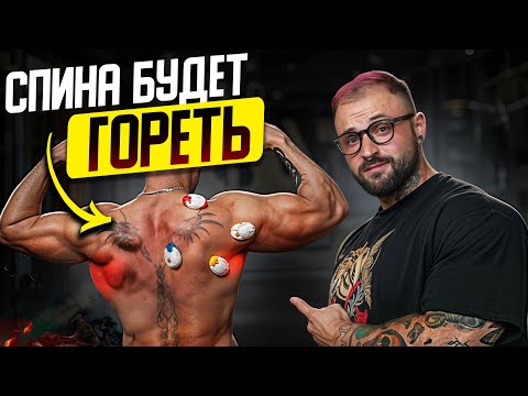 Видео: После этого видео ТВОЯ СПИНА 100% ВЫРАСТЕТ (упражнения по науке)