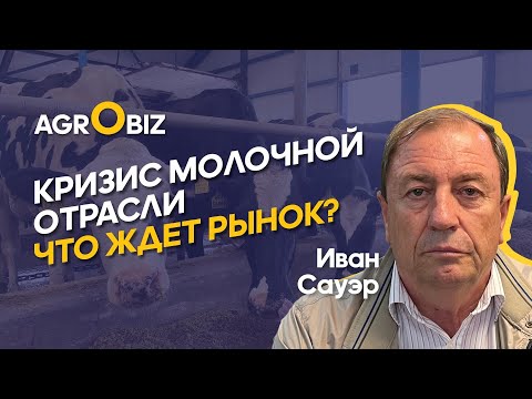 Видео: Программы поддержки животноводства Казахстана рисуют далекие люди | Иван Сауэр