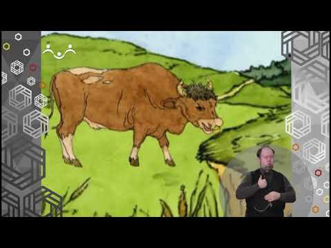 Видео: Доброе Слово. Гордая мышь