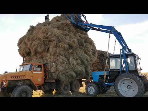 Видео: СЕНОКОС 2024. ОПЯТЬ ПЕРВЫЙ ДЕНЬ ВЫВОЗКИ)) КАК ПЕРЕКЛЮЧАТЬ СКОРОСТЯ НА МТЗ. КАК ГРУЗЯТ СЕНО