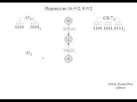 Видео: Перевод из 8 и 16 в 2 систему счисления.