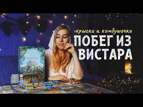 Видео: Побег из Вистара - не могу не думать о ней!