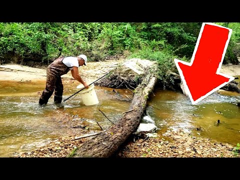 Видео: Найден ручей, полный прекрасных каменных сокровищ