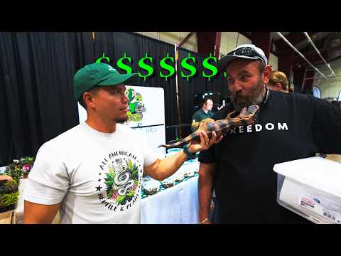 Видео: САМАЯ ДОРОГАЯ покупка на Всеамериканской выставке рептилий и растений?