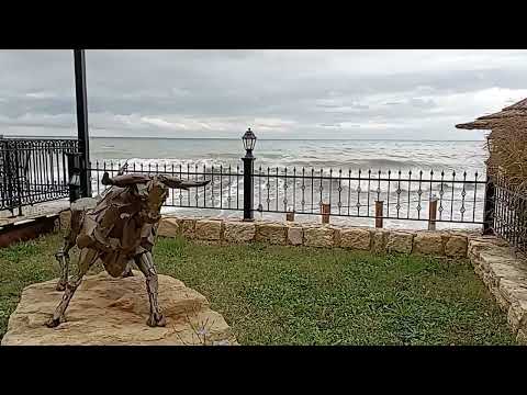 Видео: Буря мглою небо кроет...Волны в Болчике гудят. Шторм крушит, земля дрожит. Циклон в Болгарии