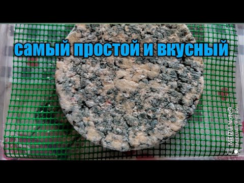 Видео: сыр с голубой плесенью в домашних условиях