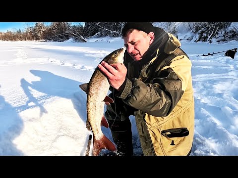 Видео: Зимняя рыбалка в Сибири. Поход за крупным ленком и тайменем. Ловля ленка зимой на короеда в тайге.