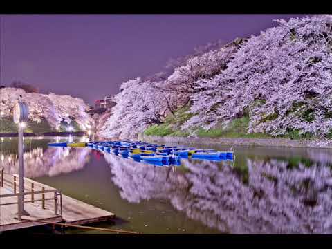 Видео: Асцендент в Козероге