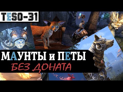 Видео: Все БЕСПЛАТНЫЕ маунты и петы в Elder Scrolls Online. Ездовые и декоративные питомцы. TESO(2020)