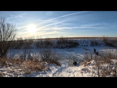 Видео: ДА ТУТ ЕЁ ТОННЫ! НЕ ДУМАЛ ЧТО ПОПАДУ НА ТАКОЕ ОТКРЫТИЕ ЛЬДА! ПЕРВАЯ РЫБАЛКА НА ХАПУГИ В ЭТОМ СЕЗОНЕ