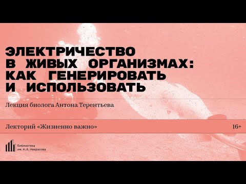 Видео: «Электричество в живых организмах: как генерировать и использовать». Лекция Антона Терентьева