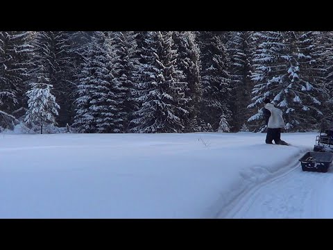 Видео: Охота на лисицу капканами. сезон 24-25г. / ПРОВЕРЯЮ КАПКАНЫ, ЗАЛОЖИЛ ПРИВАДУ.