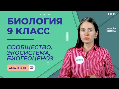 Видео: Сообщество, экосистема, биогеоценоз. Состав и структура сообщества. Видеоурок 30. Биология 9 класс