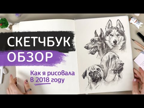 Видео: СКЕТЧБУК ОБЗОР // Как я рисовала в 2018 году