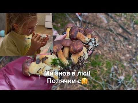 Видео: Кайфонули! В лісі🍂 