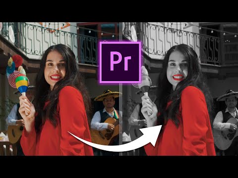 Видео: Оставляем только выбранный Цвет на обесцвеченном видео | Adobe Premiere Pro