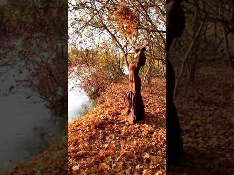 Видео: АЙНА ИСАЕВА «КТО ЗНАЕТ...»🍂🍁