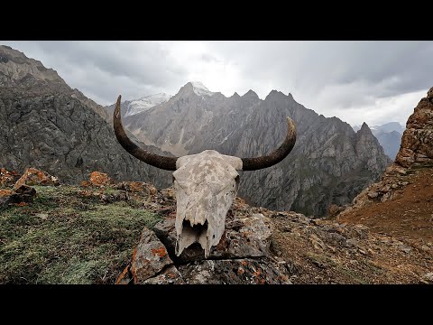 Видео: Кыргызстан. Часть4