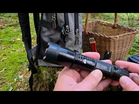 Видео: Китайский Шокер Для Самообороны: Фейк Или Спасение? Полный Тест.Шокер Стоит ли Рисковать Жизнью