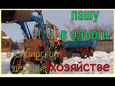 Видео: Остался один немощный мужик  в Сибирской деревне на хозяйстве кормить дойных коров работа в тракторе