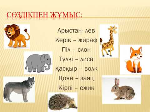 Видео: Қазақ тілі (оқыту қазақ тілінде емес) ІІ тоқсан 1-сынып "Аңдар"