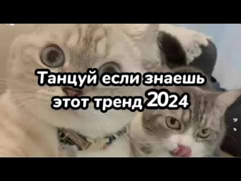 Видео: Танцуй если знаешь этот тРенд 2024