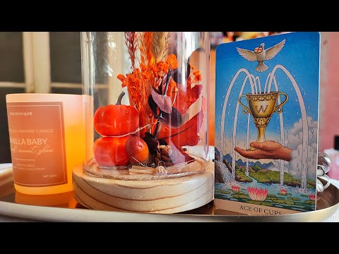 Видео: Какво вижда като пречка между вас и какво следва? 🤩♥️🍃🍁💛