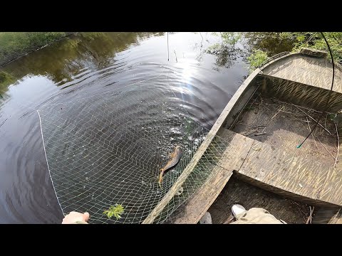 Видео: рыбалка на паук подъёмник В поисках сазана