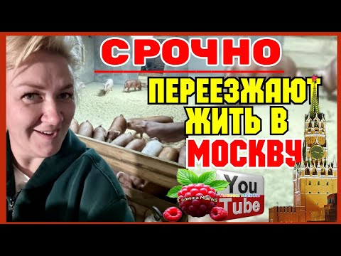 Видео: Деревенский дневник /Срочно /Переезжают жить в Москву /Обзор /Мать-героиня /Леля Побируха / Быкова 