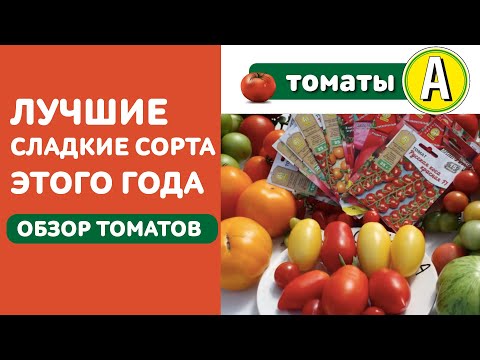 Видео: ОБЗОР ТОМАТОВ ЭТОГО ГОДА - Лучшие СЛАДКИЕ ОРИГИНАЛЬНЫЕ СОРТА