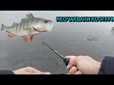 Видео: НЕОЧАКВАНИ КОСТУРИ. 