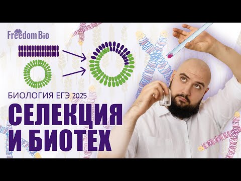 Видео: СЕЛЕКЦИЯ и БИОТЕХНОЛОГИЯ для ЕГЭ |Генетика| ЕГЭ БИОЛОГИЯ 2025|Freedom|