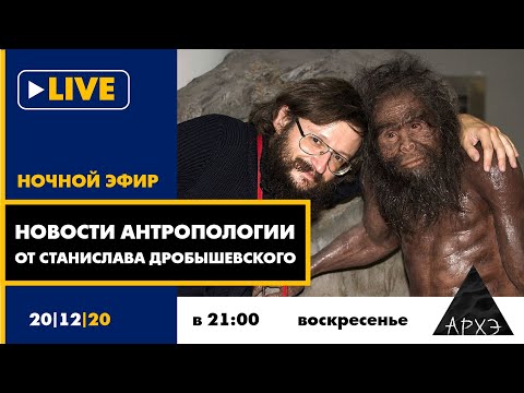 Видео: Ночной АРХЭфир "Новости антропологии от Станислава Дробышевского"