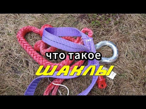 Видео: Что такое шаклы?
