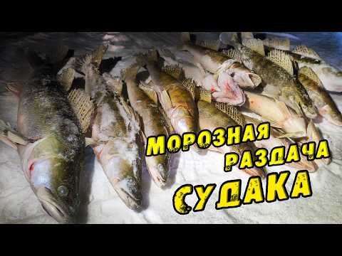 Видео: ТАКАЯ РЫБАЛКА Бывает ОДИН раз в ЗИМУ! Ушли от толпы и поймали КУЧУ СУДАКОВ! Зимняя Рыбалка на Судака